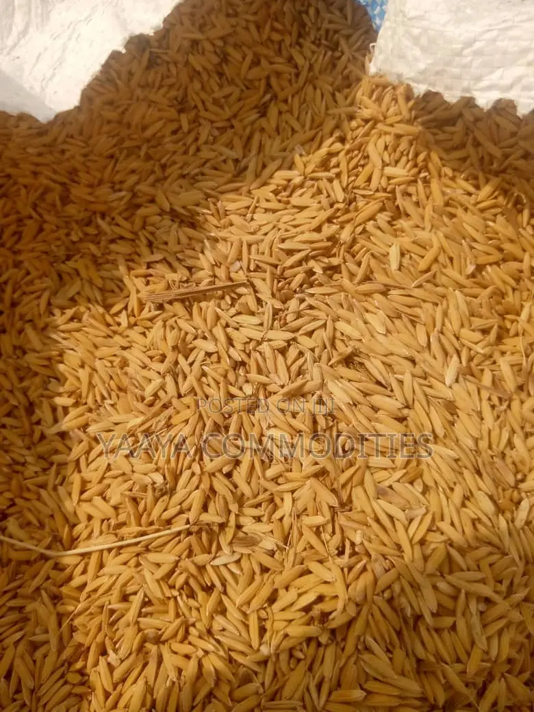 Local Paddy Rice