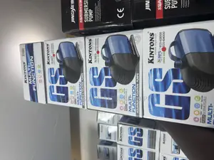 30 Watts Kingston Submersible Pump