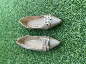 Elegancepoint Luxe Flat Shoes (Nude Edition)