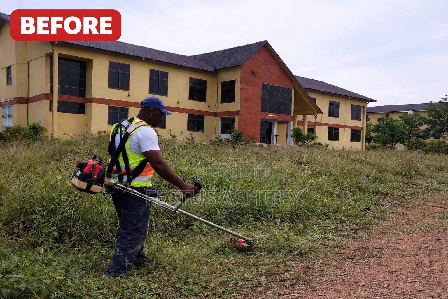 Professional Weed Cutting Land Clearing Services (Fast Affordable)