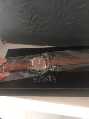 Gaiety Men's Luxury Quartz Watch
