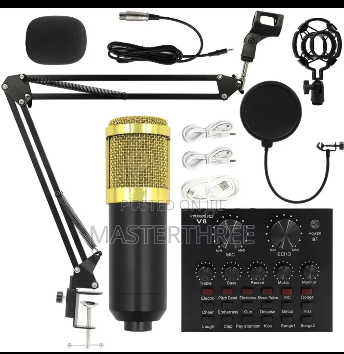 Professional Recording Stand Microphone