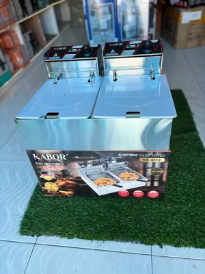 Durable Electric Deep Fryer Dual Pan