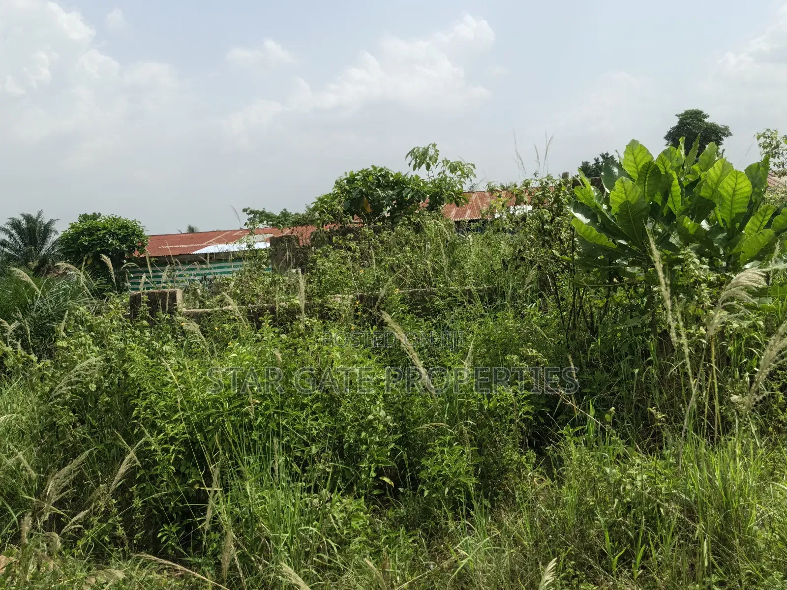 Plot for Sale at Kenyasi Adwumam