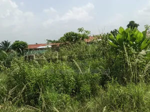 Plot for Sale at Kenyasi Adwumam