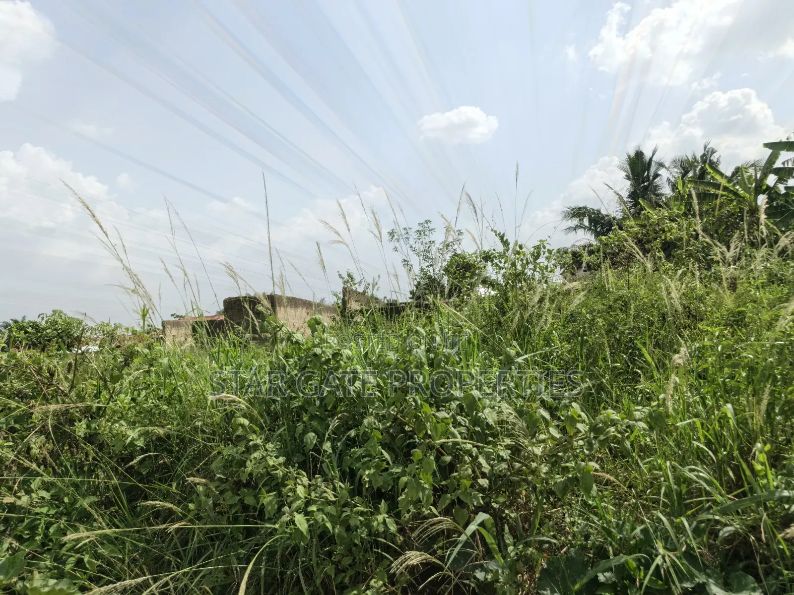 Plot for Sale at Kenyasi Adwumam