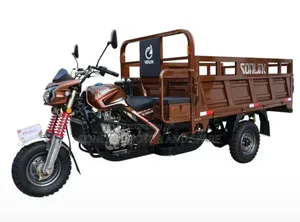 New Sonlink SL200ZH-SC 2026 Brown