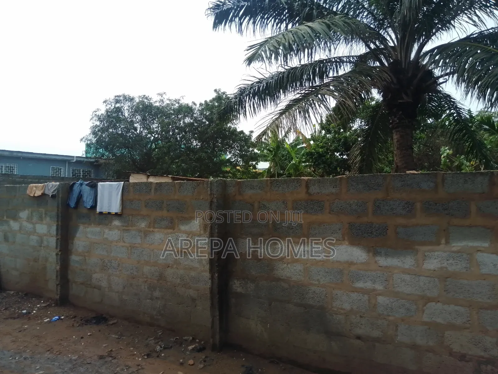 Freehold 100/100 Land Size at Adenta Ritz Junction for Sale