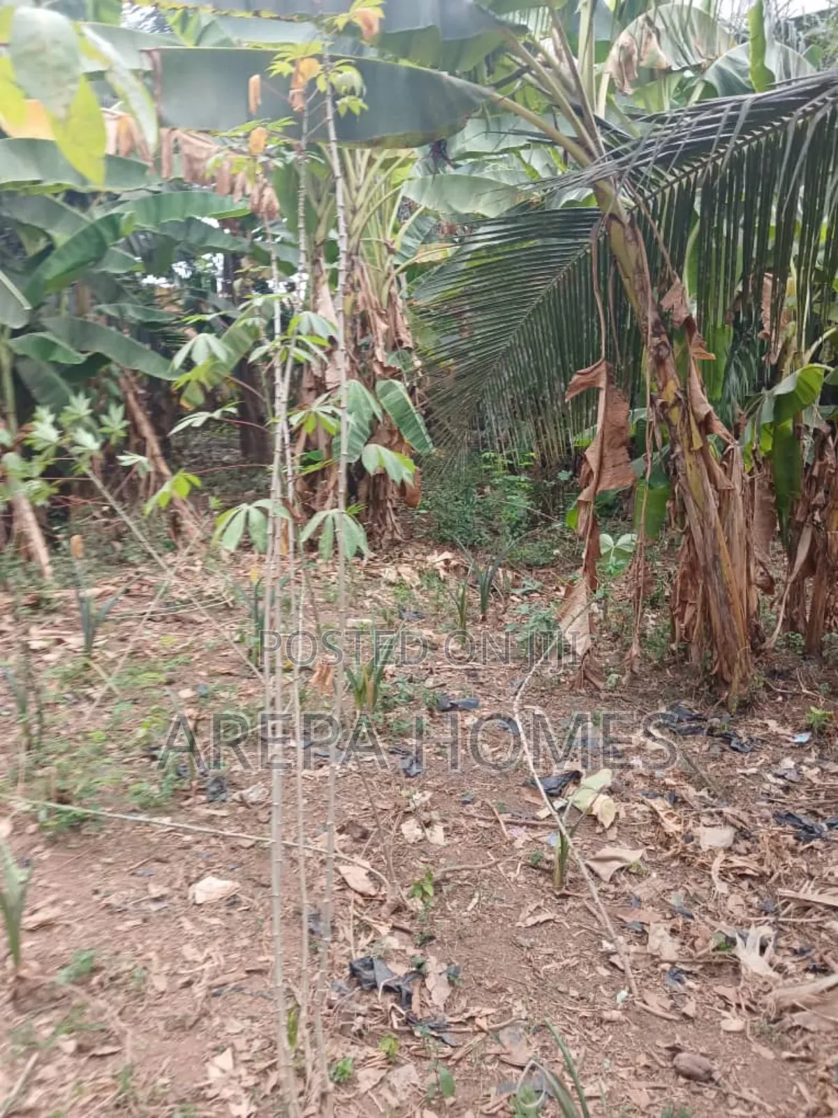 Freehold 100/100 Land Size at Adenta Ritz Junction for Sale