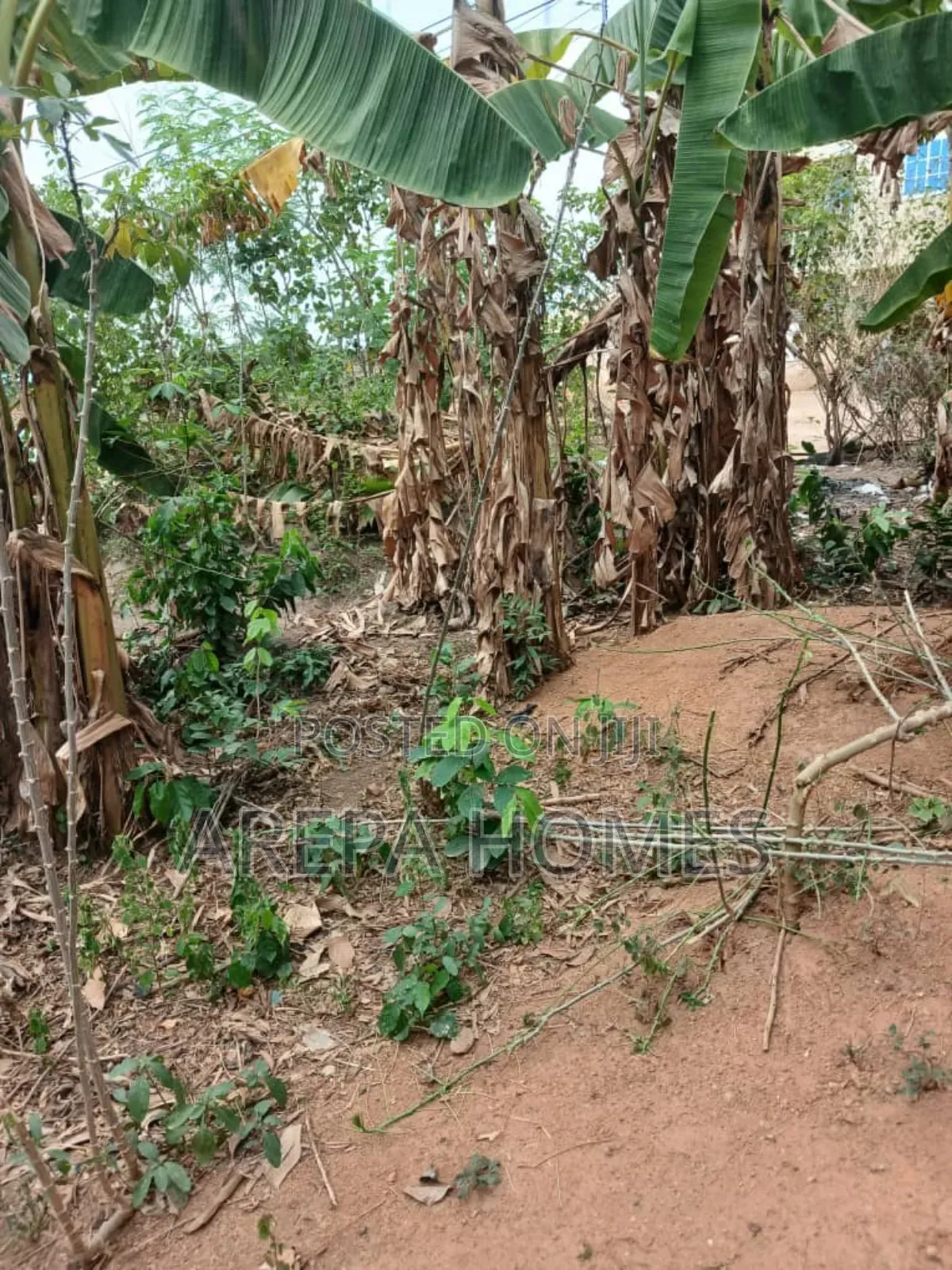 Freehold 100/100 Land Size at Adenta Ritz Junction for Sale