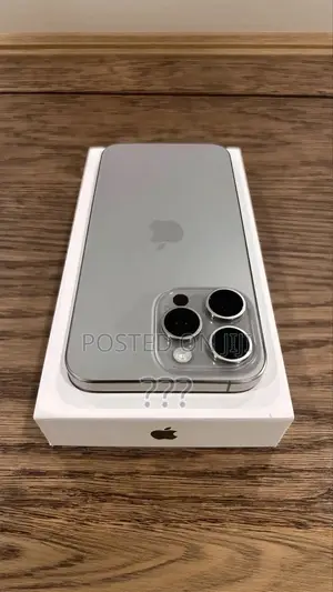 Apple iPhone 15 Pro Max 256 GB Silver