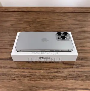 Apple iPhone 15 Pro Max 256 GB Silver