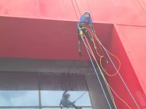 Exterior Wall Washing