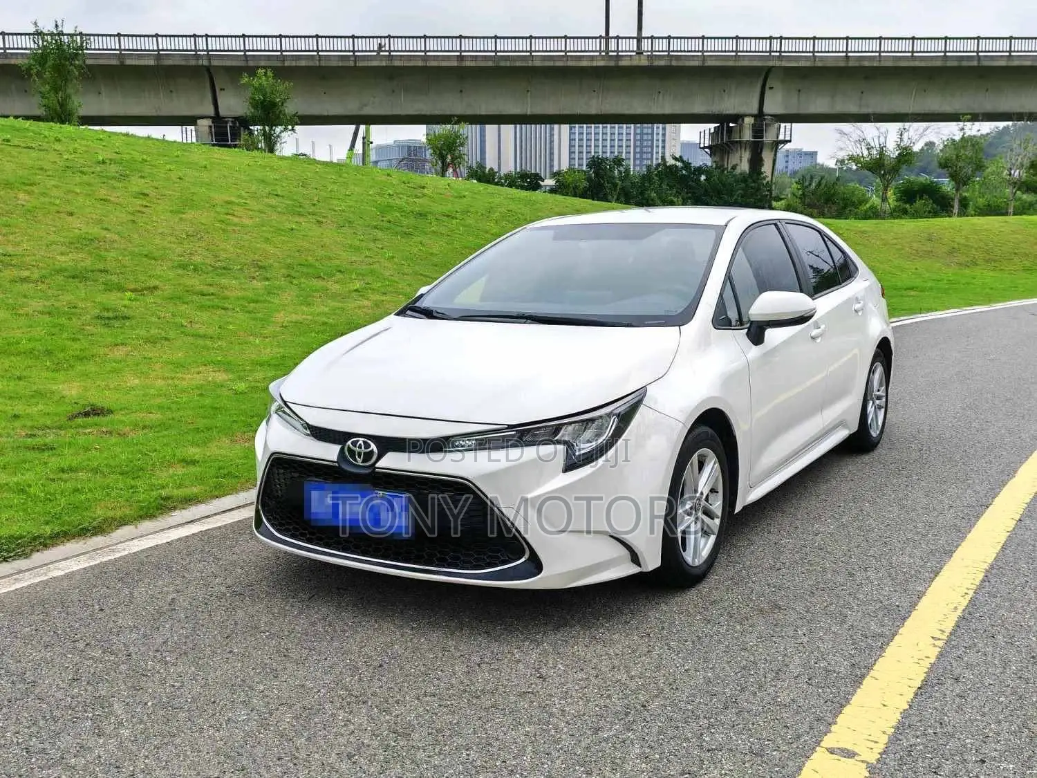 Toyota Corolla LE 2022 White