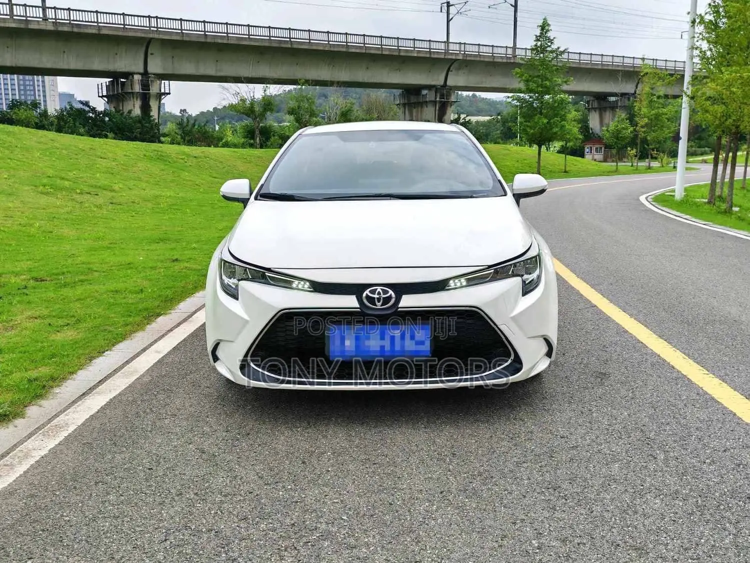 Toyota Corolla LE 2022 White