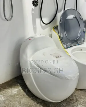 Egg Shaped Wc