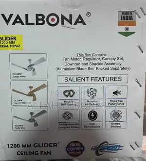 Ceiling Fans