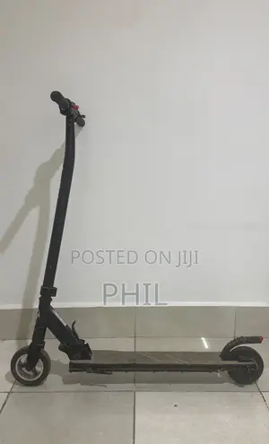 Zinc Eco Electric Scooter