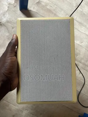 Flat Speakers for Walls