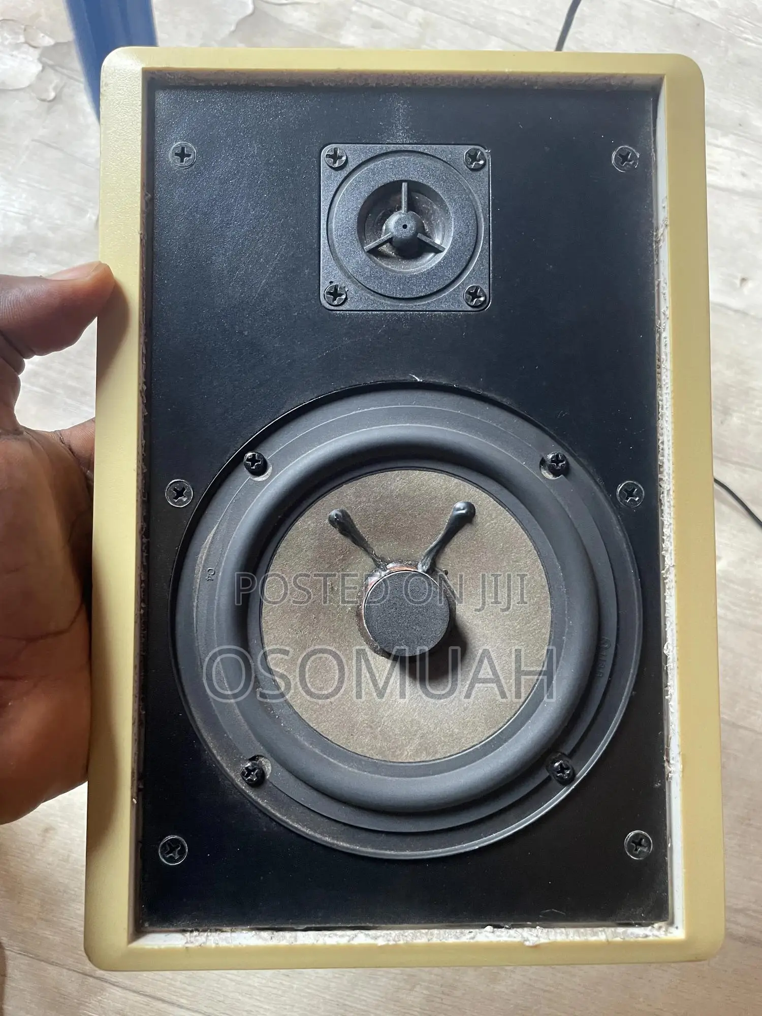 Flat Speakers for Walls