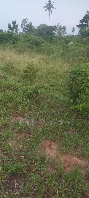 Plot of Lands