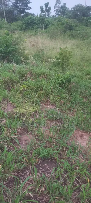 Plot of Lands