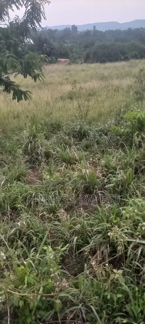 Plot of Lands