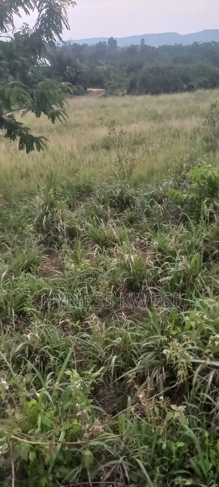 Plot of Lands