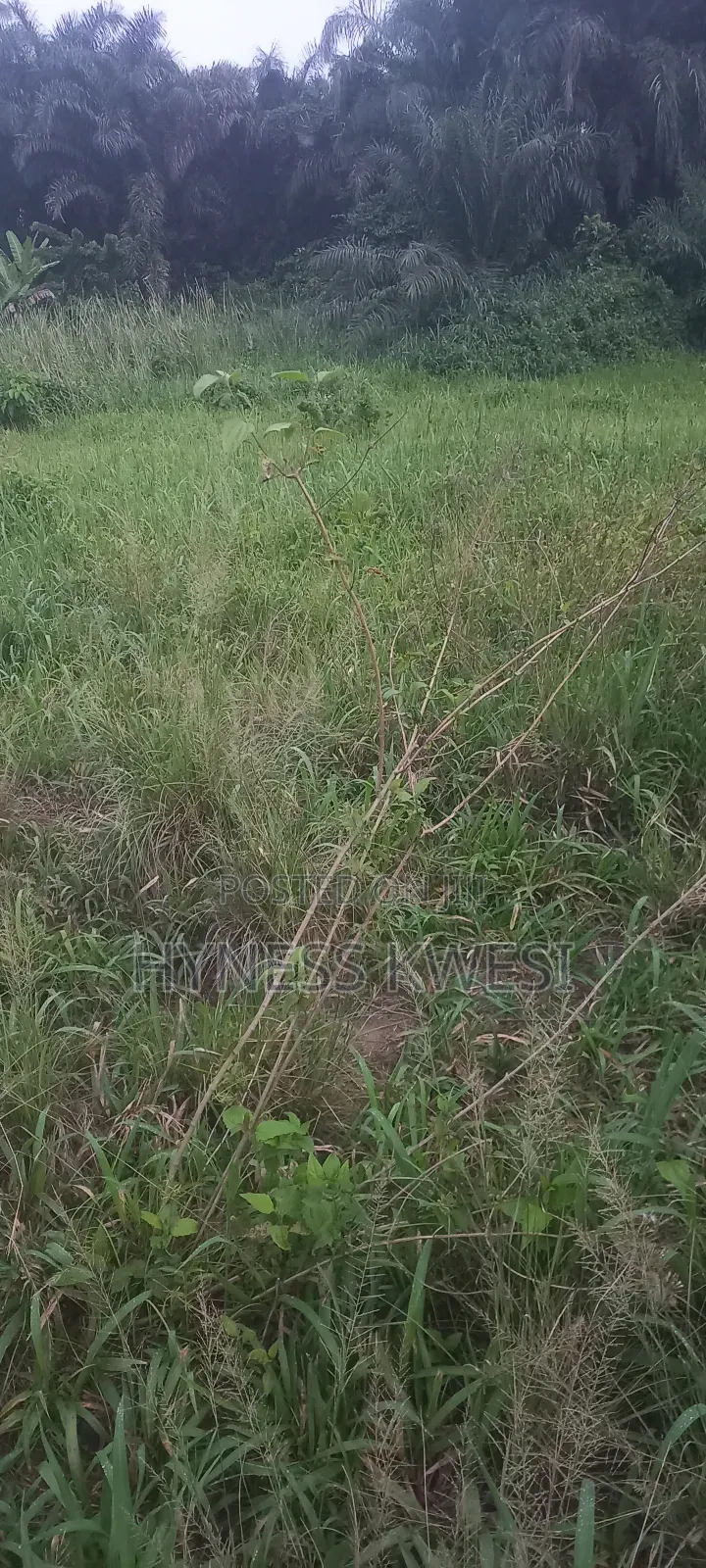 Plot of Lands
