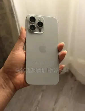Apple iPhone 15 Pro Max 256 GB Silver