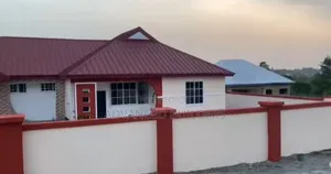 Professional Painting