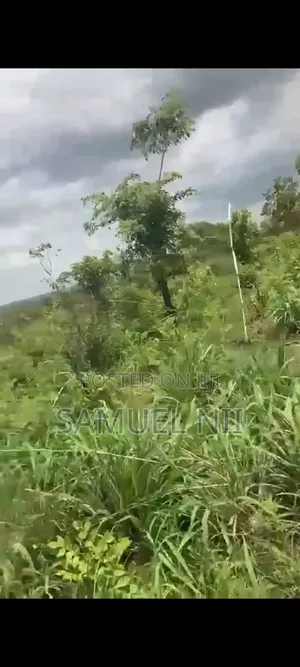 20 Acres of Land at Kintampo