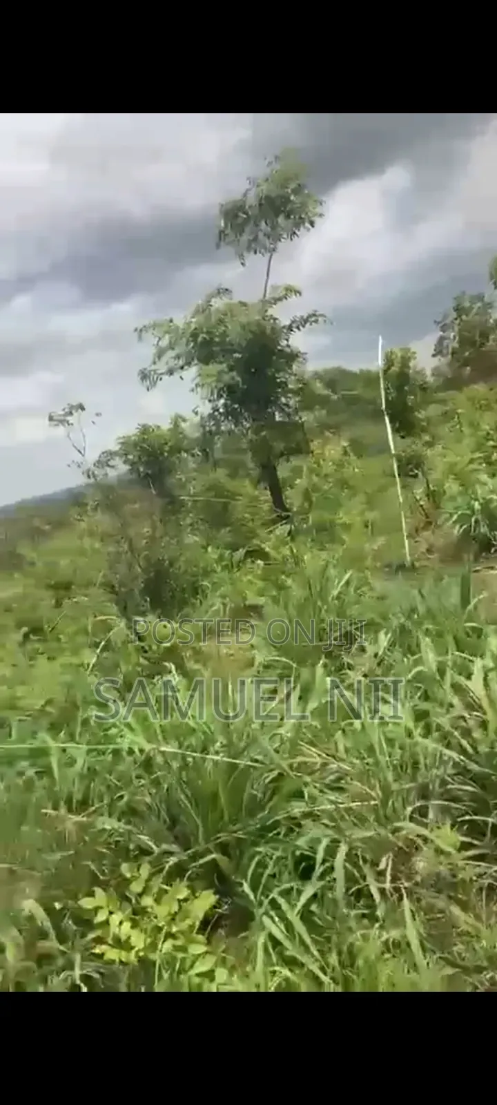 20 Acres of Land at Kintampo