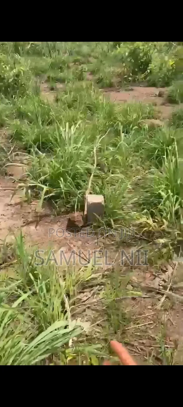 20 Acres of Land at Kintampo