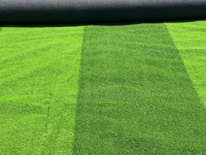 Two-Color Artificial Grass / Two-Color Astroturf