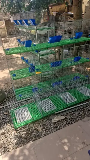 Battery Cages for Rabbits(18 Rooms)