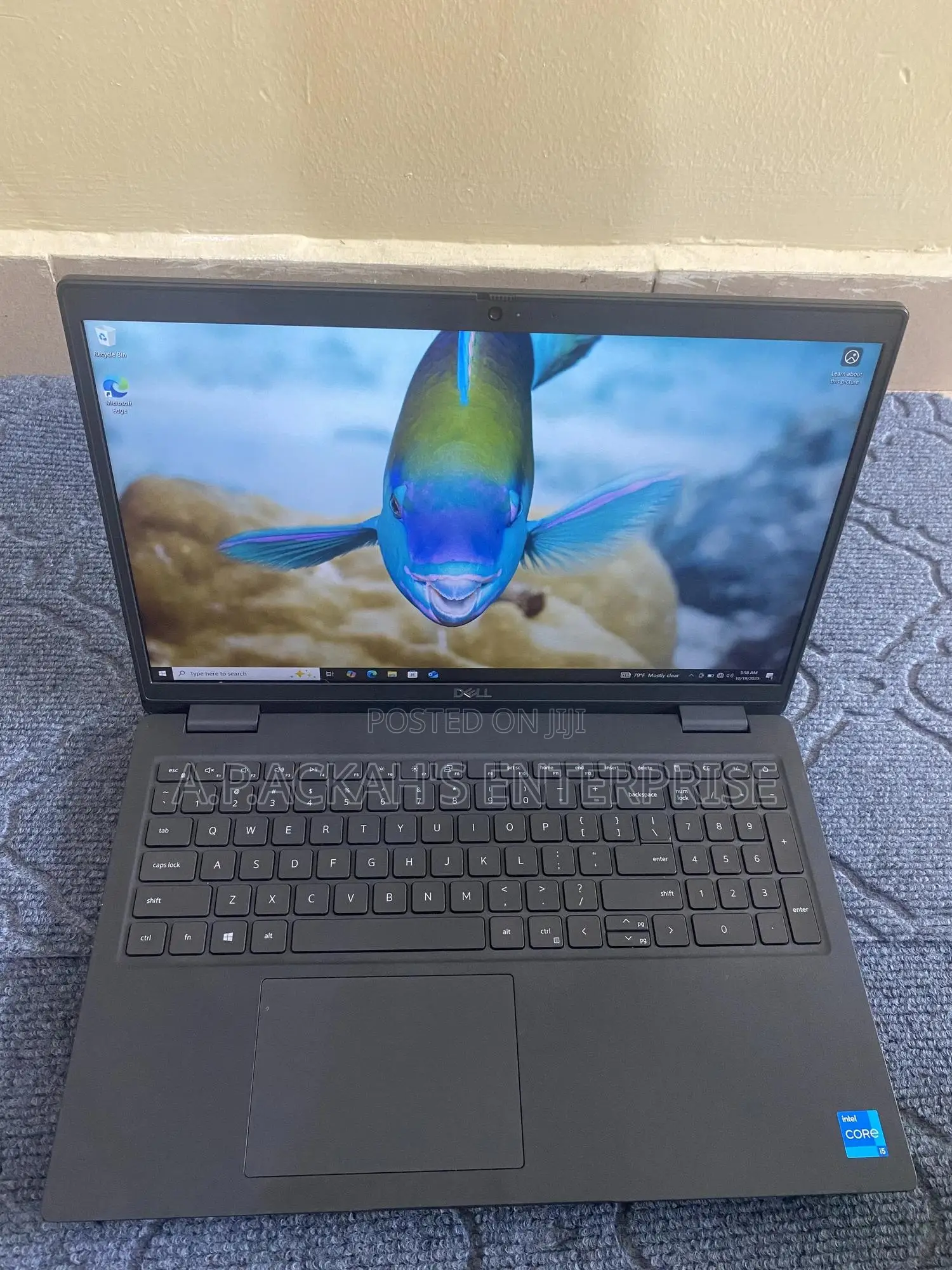 Laptop Dell Latitude 3520 8GB Intel Core i5 SSD 256GB