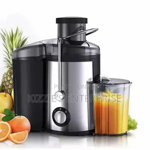 Electric Juicer