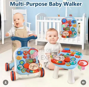 Baby Walker /Pusher With Music Activity Tray