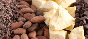 Cocoa Butter