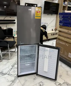 Choose Adorable Nasco 2 Door Electric Fridge(Nasd2-20fl)Dark Gray