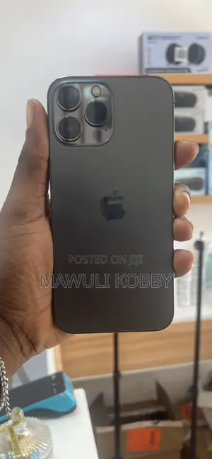 Apple iPhone 13 Pro Max 256 GB Gray