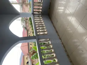 2bdrm Apartment in Sowutwuom for rent