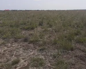Demarcated Area Land