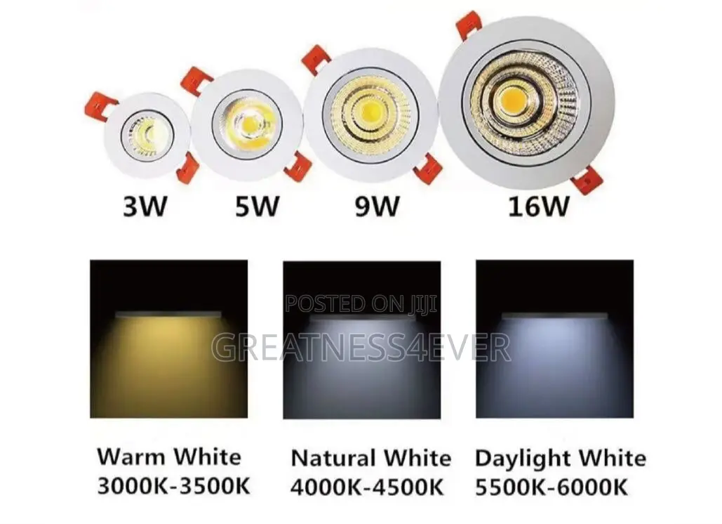 Spot Light (3 Colors) 3w