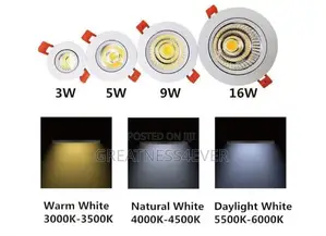 Spot Light (3 Colors) 3w