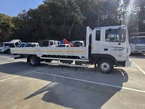 🔥🔥 2007 Hyundai 5 Ton Truck 🔥🔥