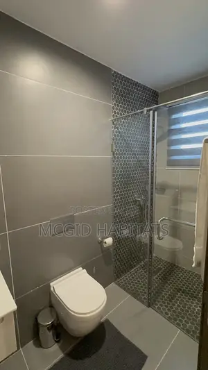 Furnished 2bdrm Apartment in Tseaddo for rent