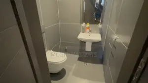 Furnished 2bdrm Apartment in Tseaddo for rent