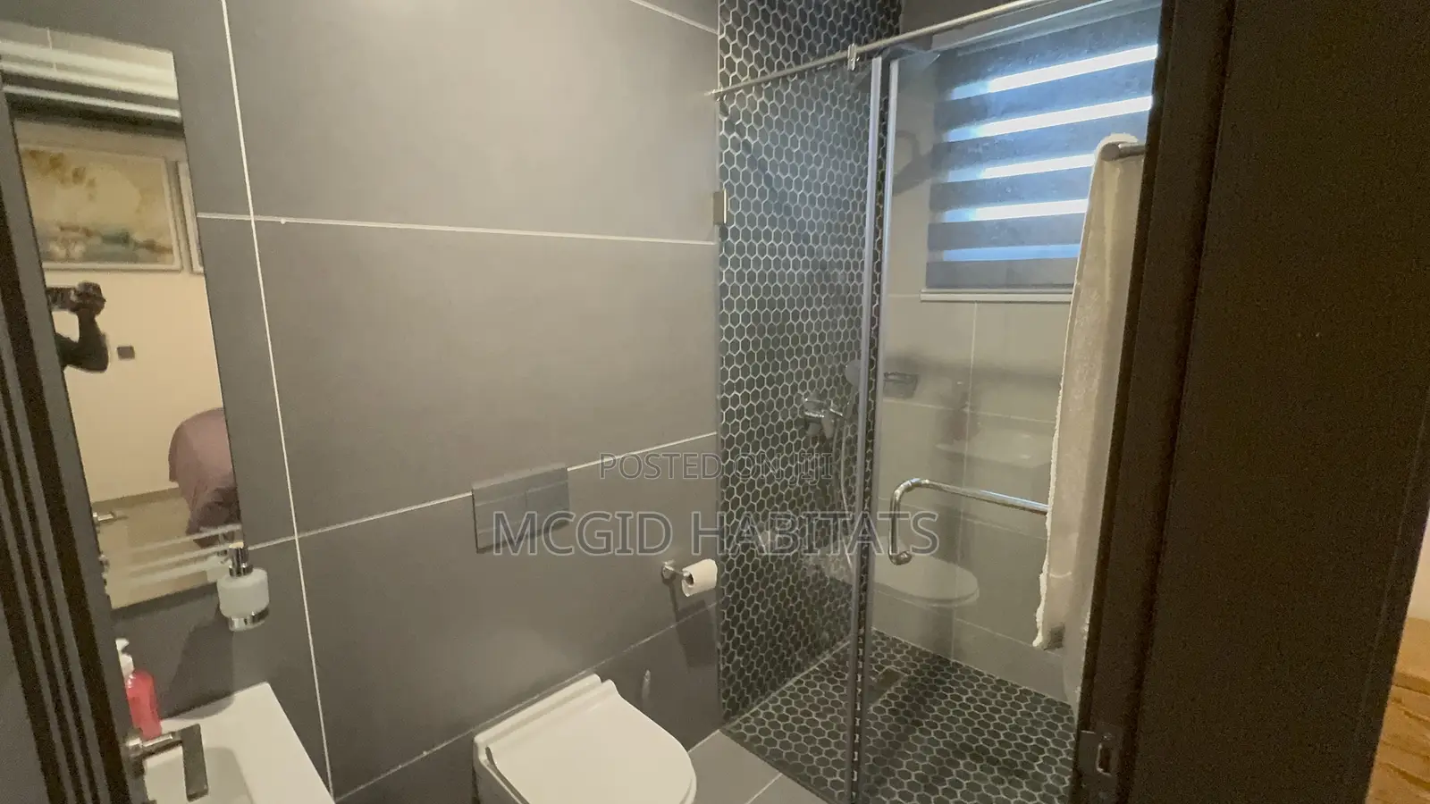 Furnished 2bdrm Apartment in Tseaddo for rent